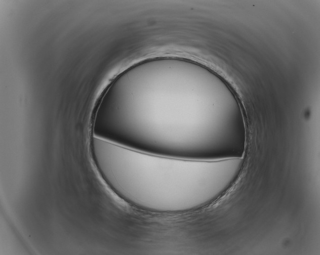 X0000097591525200802290738