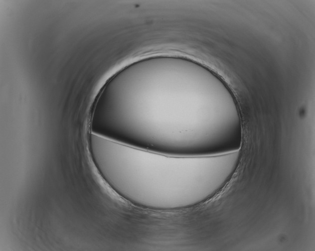 X0000097591526200802290738
