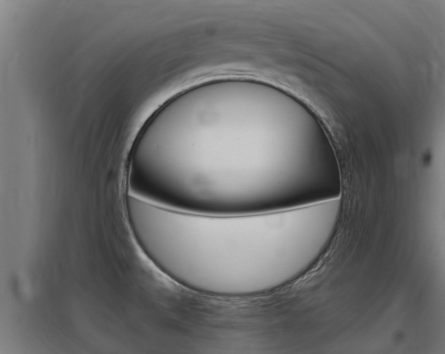 X0000097591527200802290738