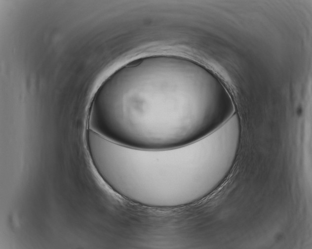 X0000097591528200802290738