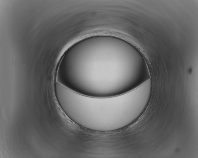 X0000097591530200802290738