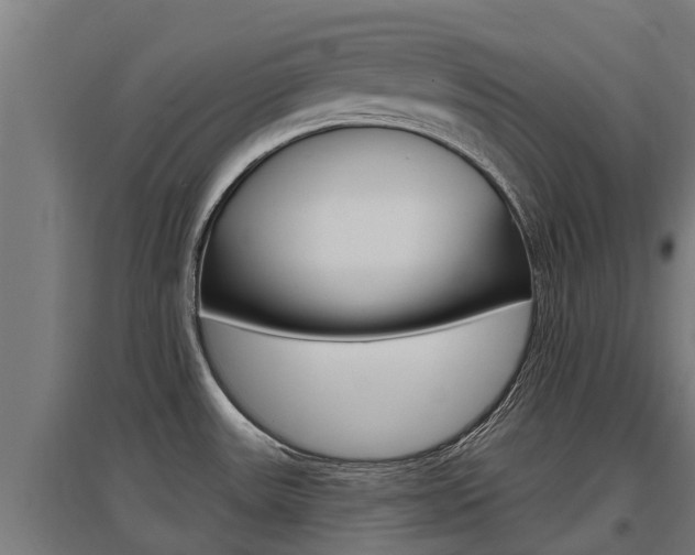 X0000097591531200802290738