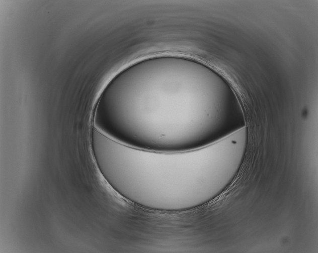 X0000097591532200802290738