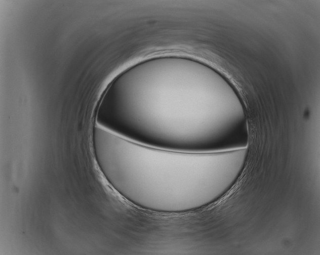 X0000097591534200802290738
