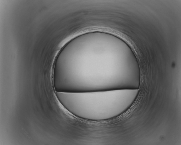 X0000097591535200802290738