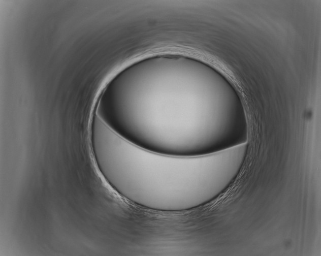 X0000097591536200802290738