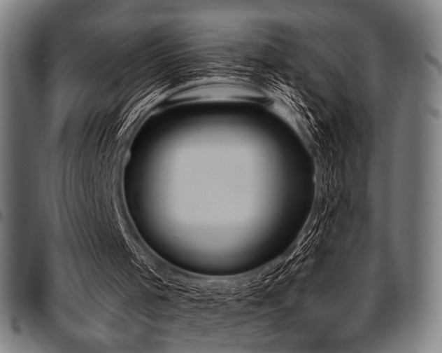 X0000097590001200802291230