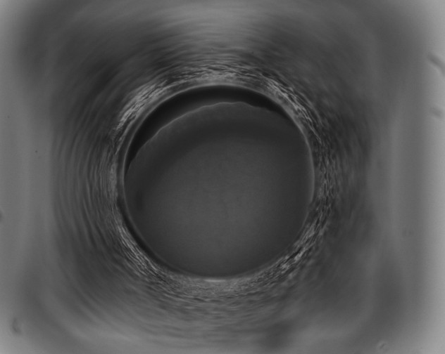 X0000097590002200802291230