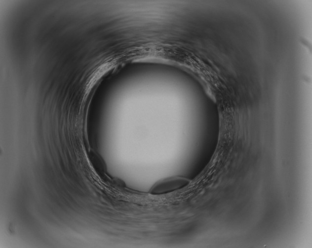 X0000097590003200802291230