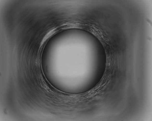 X0000097590004200802291230