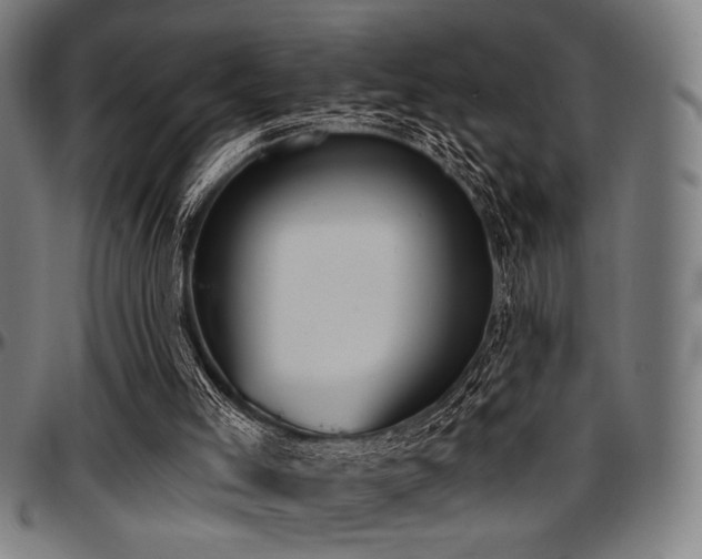 X0000097590005200802291230