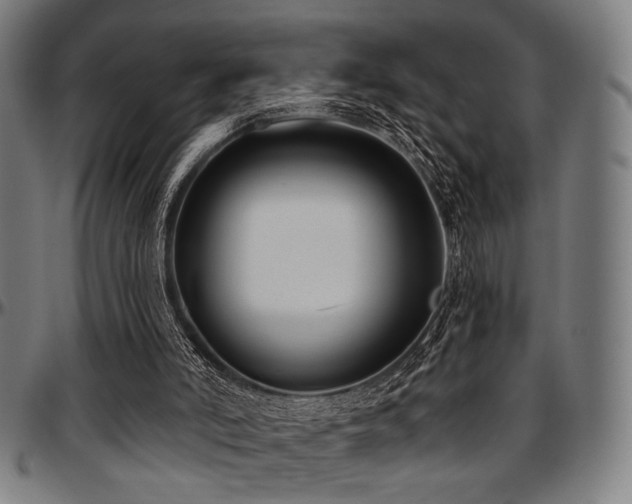 X0000097590006200802291230