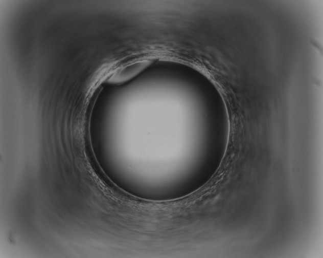 X0000097590007200802291230