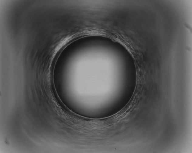 X0000097590008200802291230