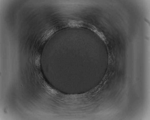 X0000097590009200802291230