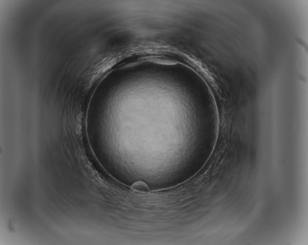 X0000097590010200802291230