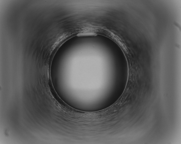 X0000097590011200802291230