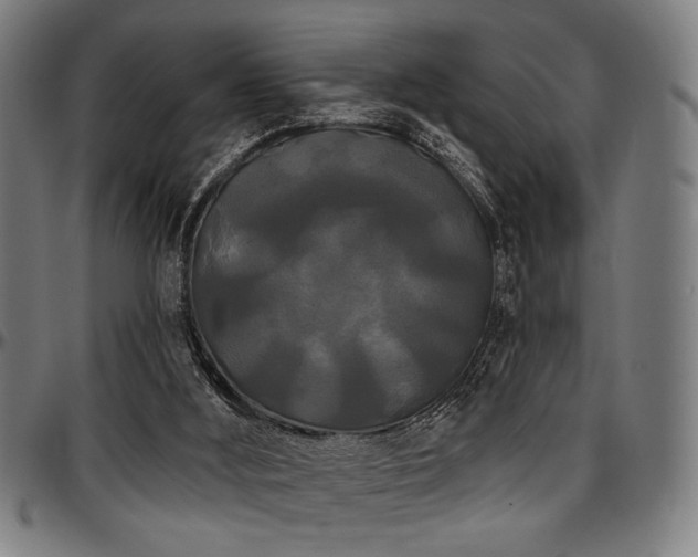 X0000097590012200802291230
