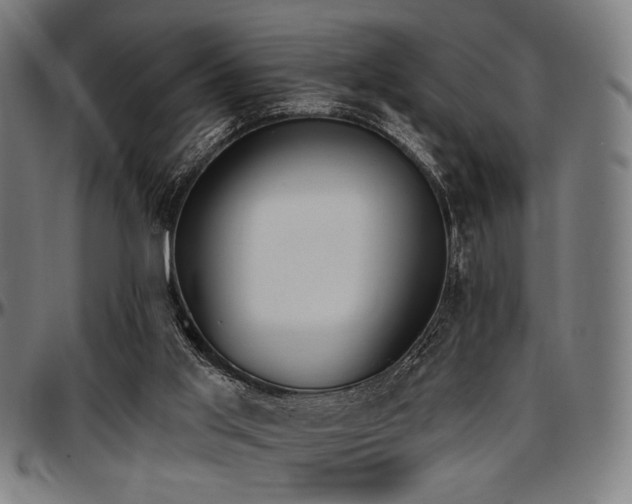 X0000097590013200802291230