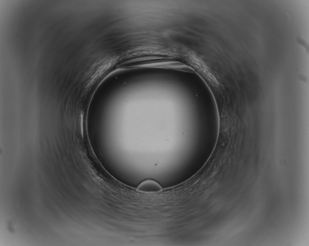 X0000097590014200802291230