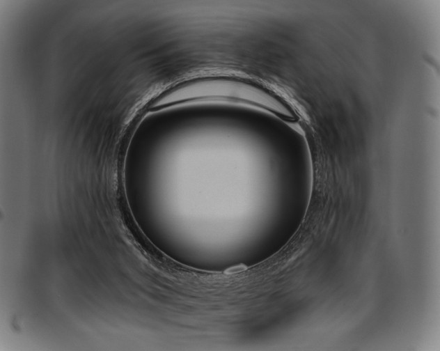 X0000097590015200802291230