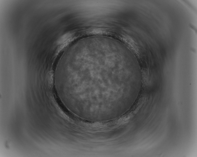 X0000097590016200802291230