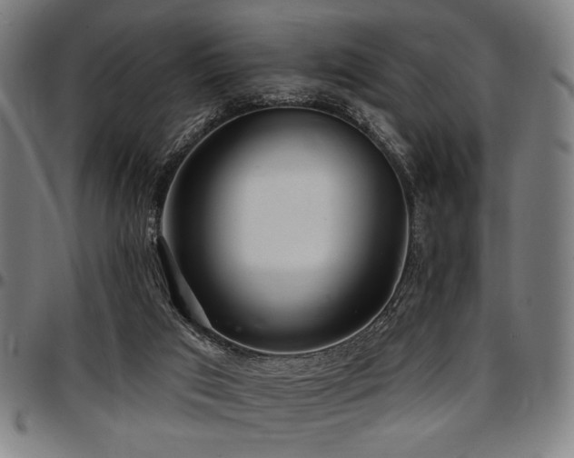 X0000097590017200802291230