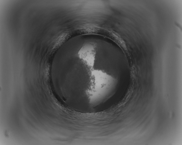 X0000097590018200802291230