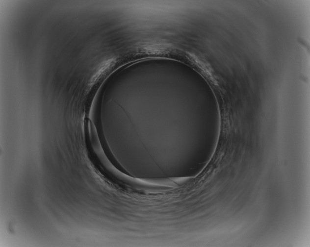 X0000097590019200802291230