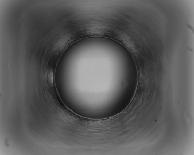 X0000097590021200802291230
