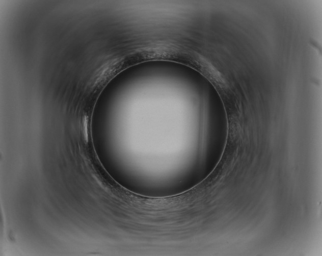 X0000097590022200802291230