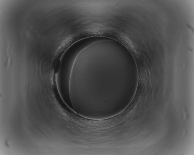 X0000097590023200802291230