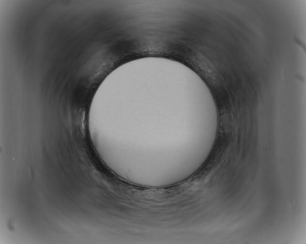 X0000097590024200802291230