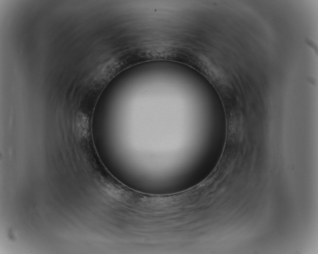 X0000097590025200802291230