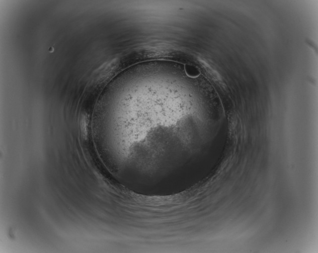 X0000097590026200802291230