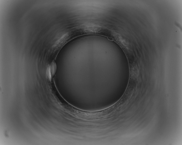 X0000097590027200802291230