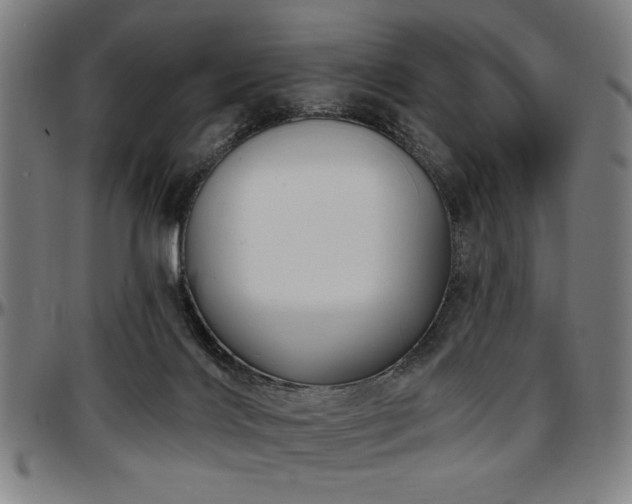 X0000097590028200802291230