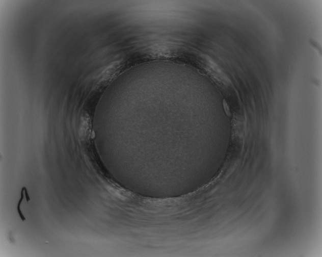 X0000097590029200802291230