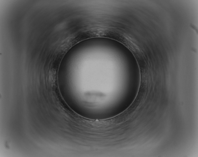 X0000097590030200802291230