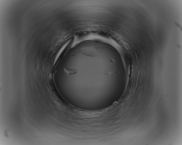 X0000097590031200802291230