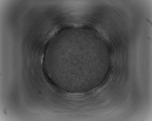 X0000097590032200802291230
