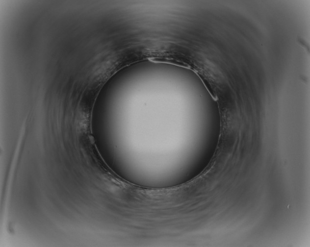 X0000097590033200802291230
