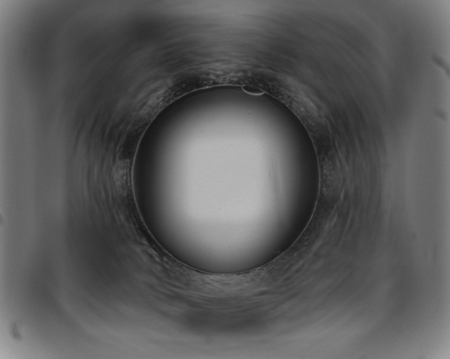 X0000097590034200802291230