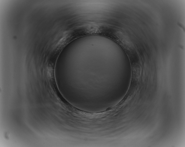 X0000097590035200802291230