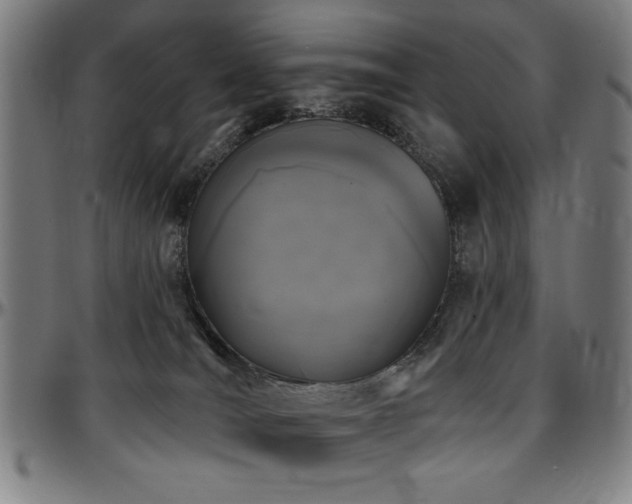 X0000097590036200802291230