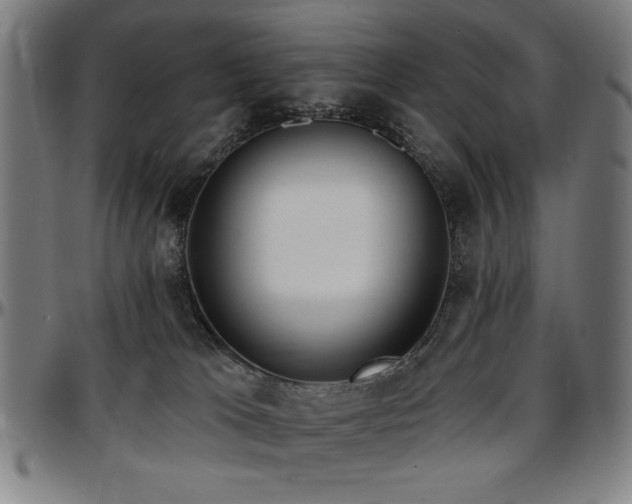 X0000097590037200802291230