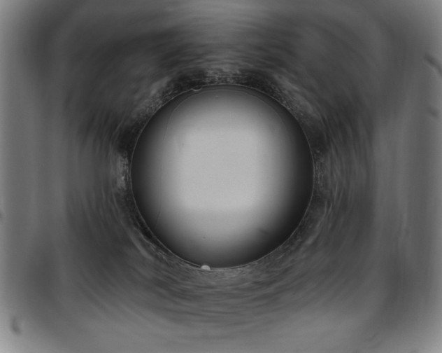 X0000097590038200802291230