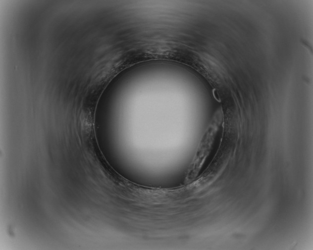 X0000097590040200802291229