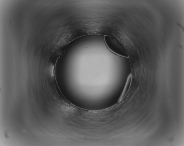X0000097590041200802291229