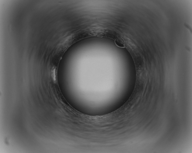X0000097590042200802291229